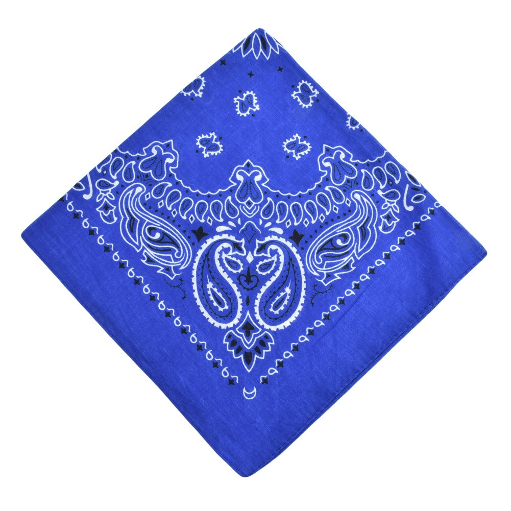 Easehut Vrouwen Mannen Vierkante Sjaal Paisley Print Bandana Haarband Halsdoek Hip Hop Hoofddoek Unisex Hoofddeksels Cool Bandana: Blauw