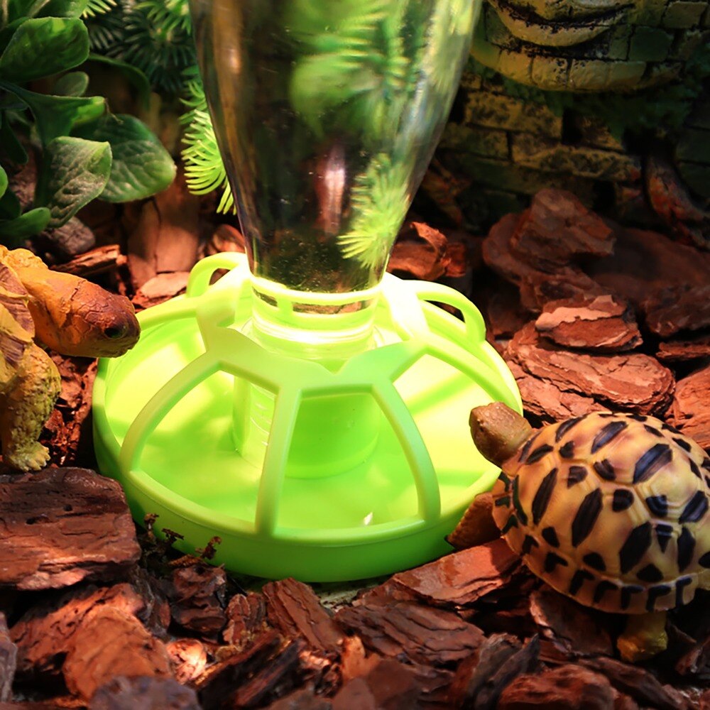Water Dish Water Bowl Feeding Tray For Gecko Lizard Reptiles bird Tortoise Turtle Terrarium Decor Water Dispenser landscaping