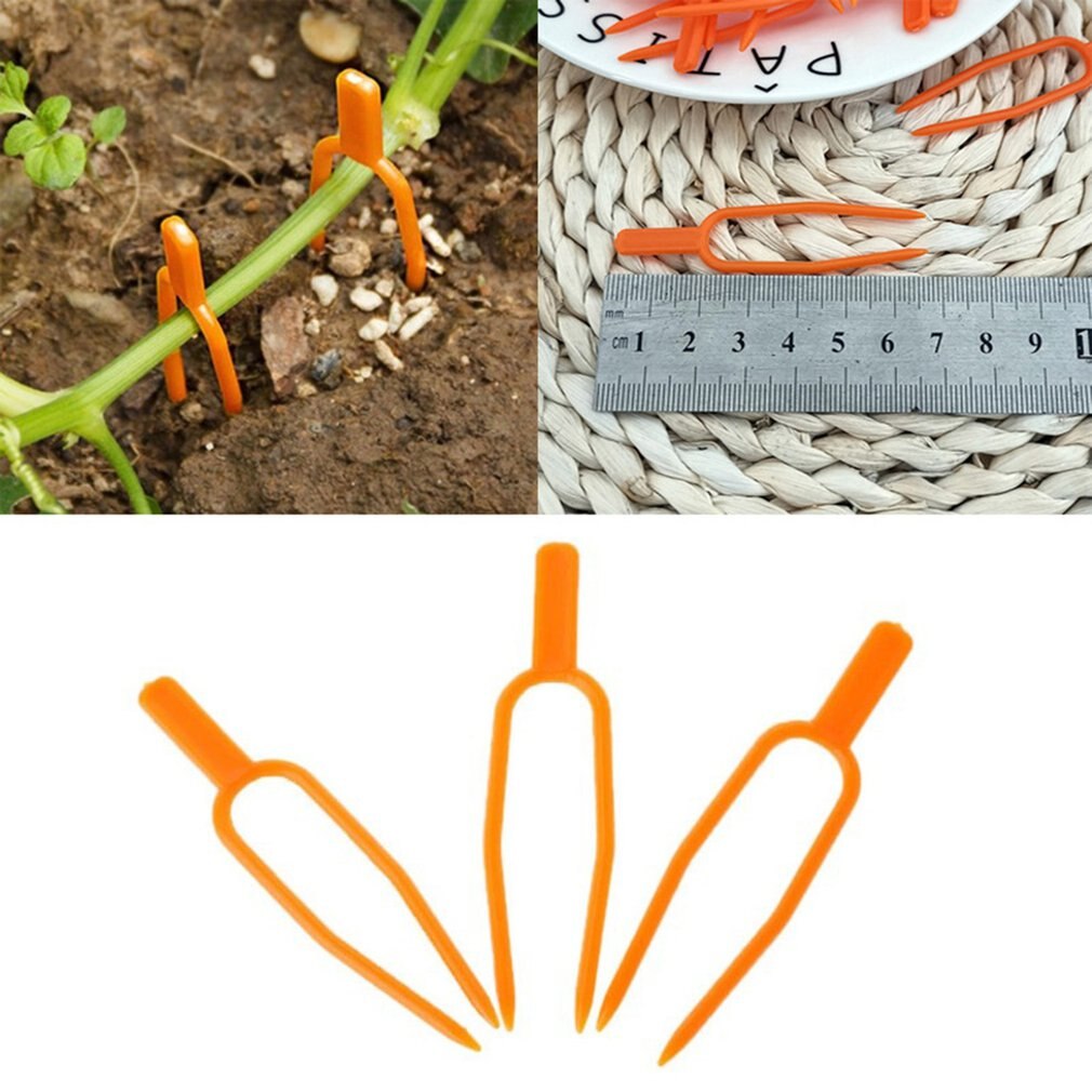 50 pièces/ensemble En Plastique Plante Tige Fixateurs D'escalade En Plastique Clips de Soutien Plante Vigne Pour Fleur Semis directe