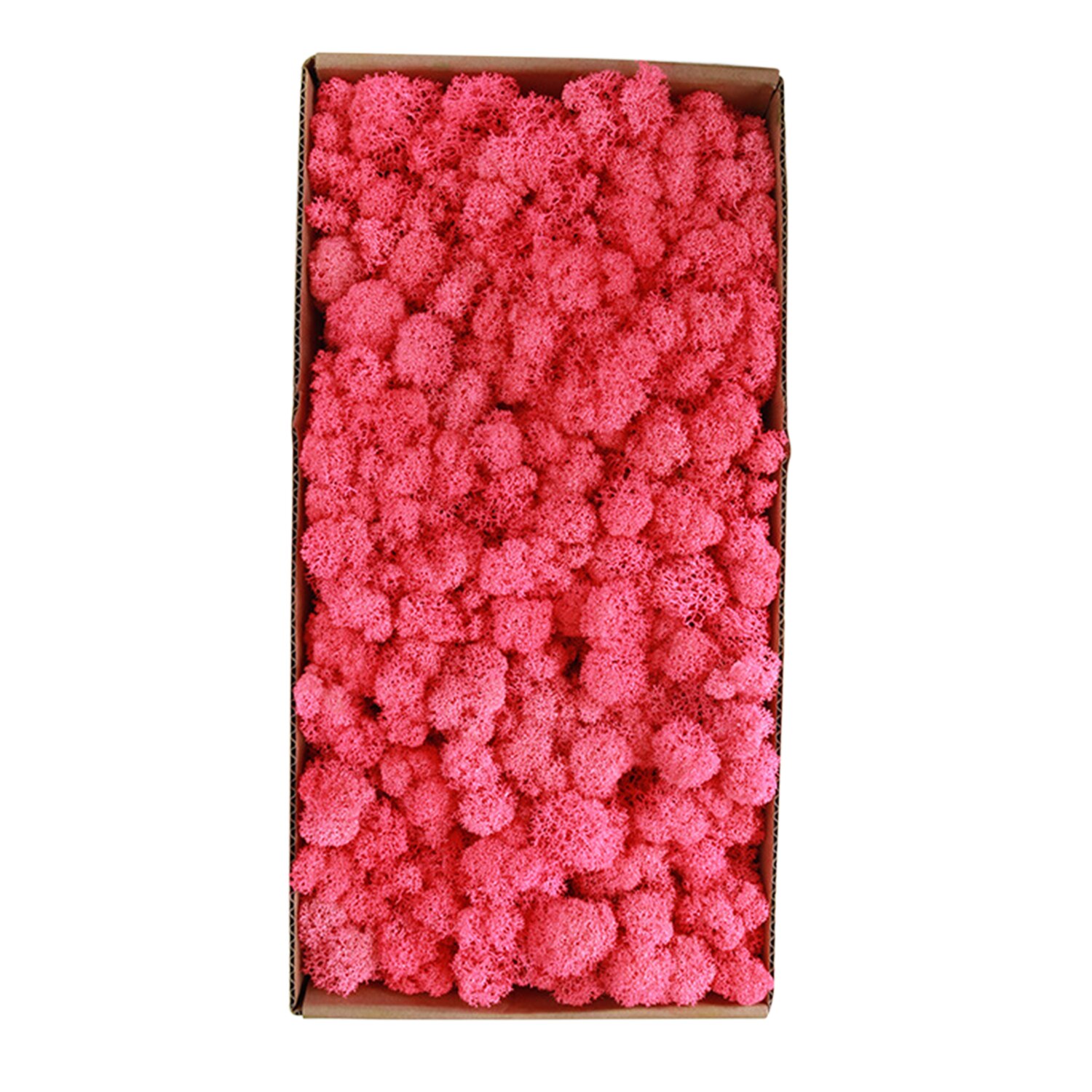 Preserved Moss Wall Decor Real Preserved Moss No Maintenance Required Naturally Preserved Moss Home Wall Party Festivals Crafts: Type 18