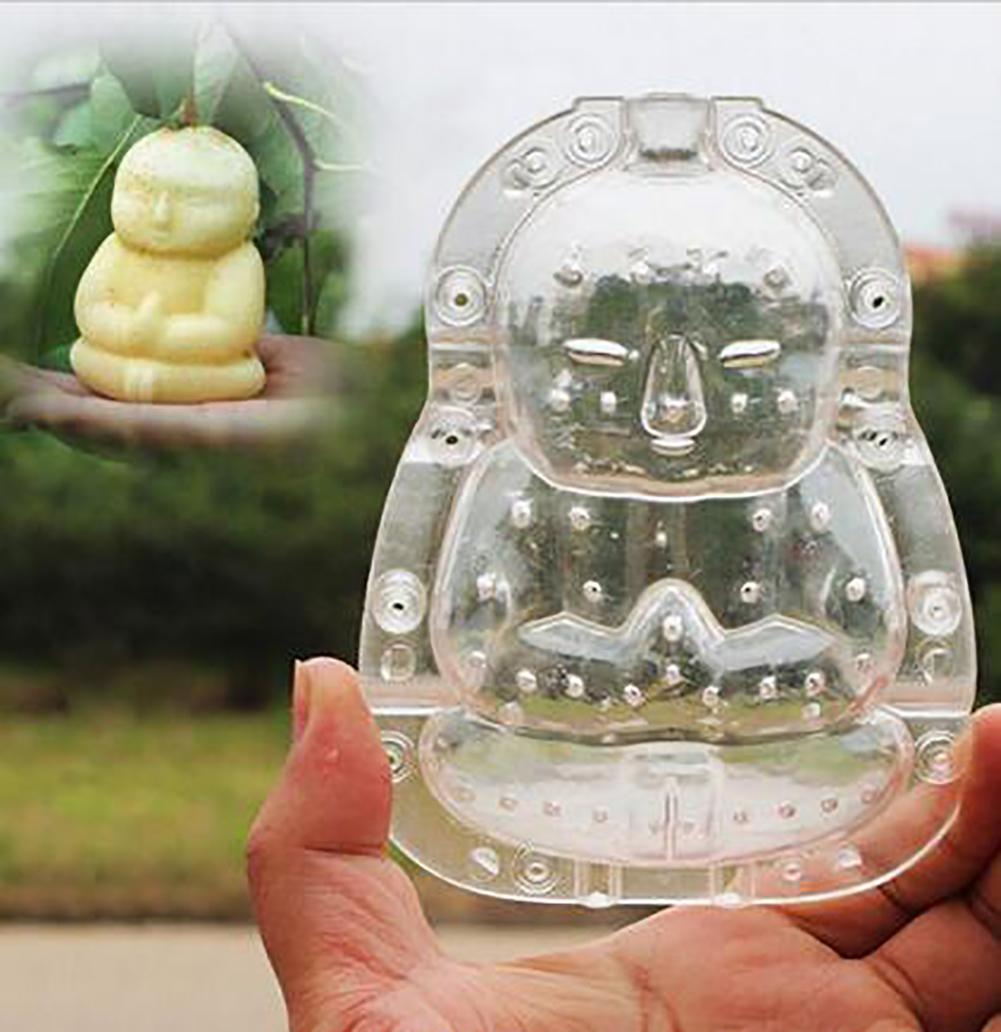 Bouddha en forme de jardin Fruits pomme poire pêche croissance formant moule façonnage outil