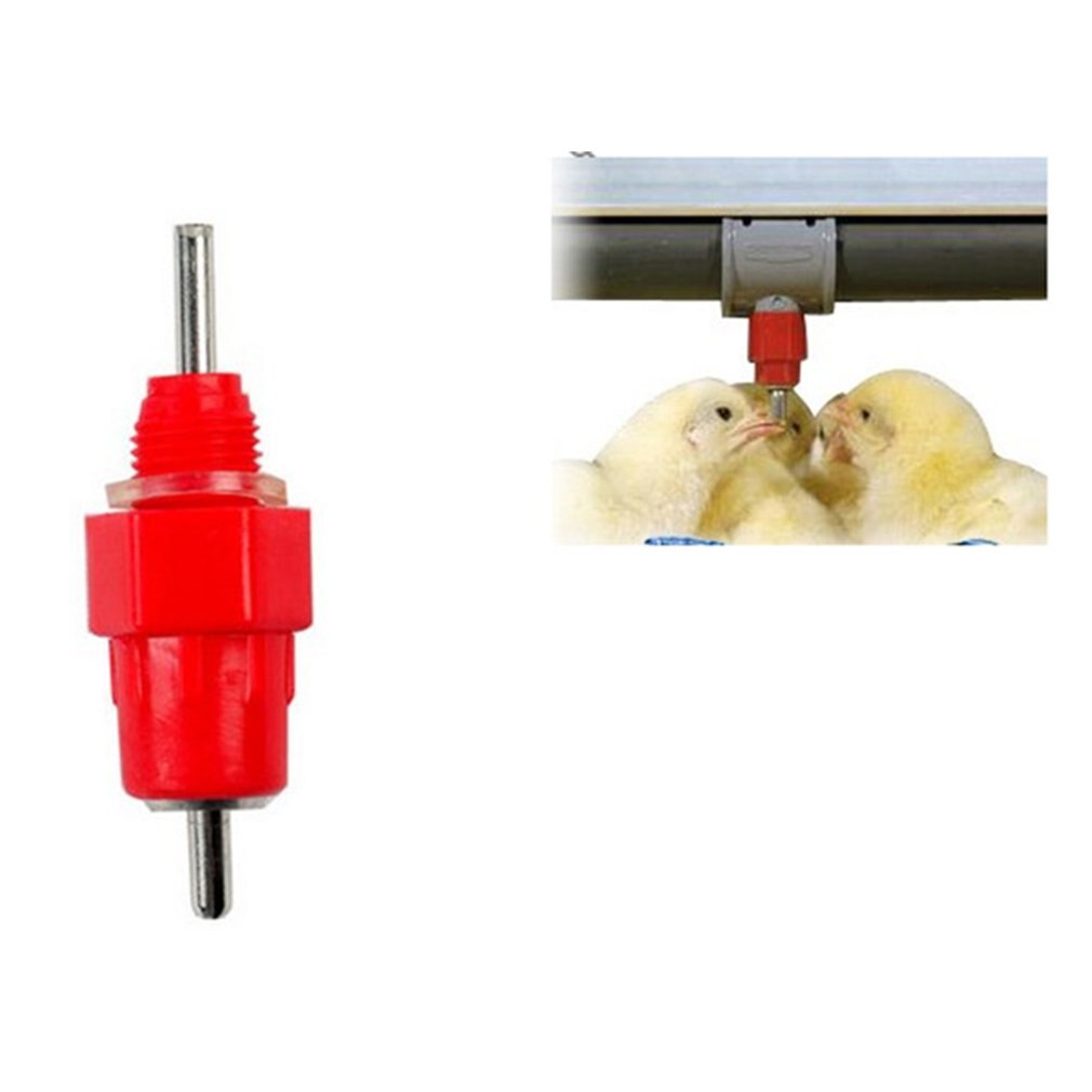 Automatic Water Feeder Docking Red Head Chicken Drinker Ball Valve Drinker Chicken Drinker Ball Chicken Waterer