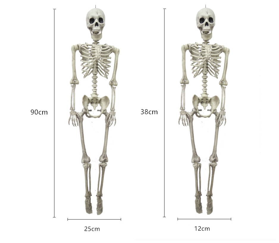 36 tommer halloween rekvisit skelet fuld størrelse skelet kranium hånd naturtro menneskelig krop poserbar anatomi model fest festival indretning