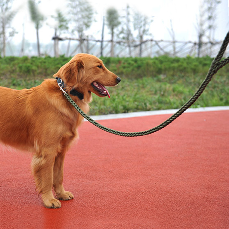 Strong Coarse Nylon Dog Leash Army Green Canvas Double Row Adjustable Dog Collar L/XL Medium Large Dog Pitbull Lead Set