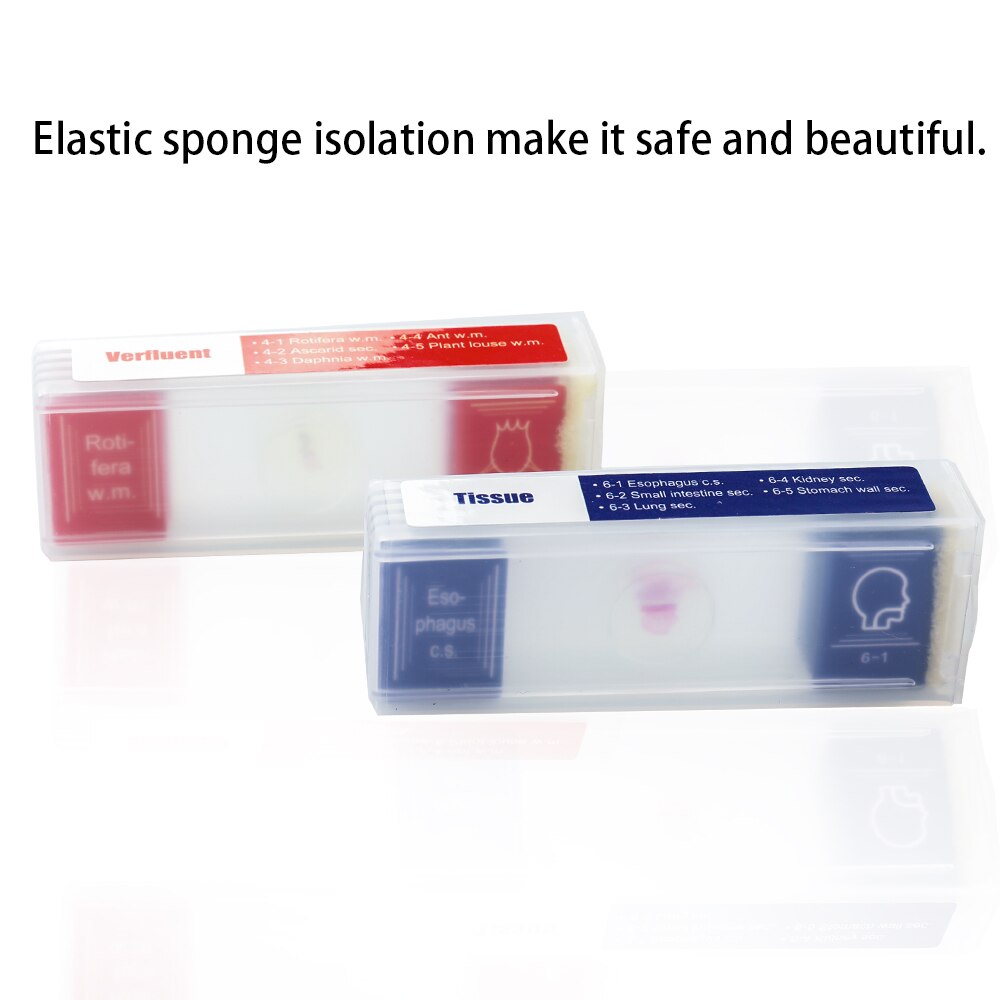 35 Piece of Colorful Microscope Specimens Biological Specimen Slides Primary and Secondary