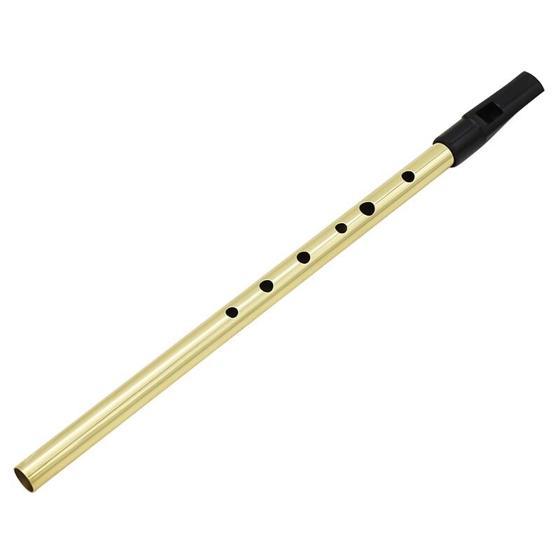 Irish Whistle Ireland Flute whistle Tin whistle Key of D Penny whistle 6 Holes Flute Chanter Mini pocket Musical Instrument