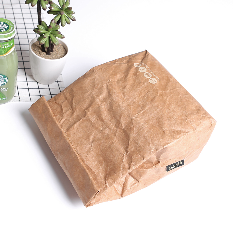 SANNE – sac en papier Kraft Tyvek, sac isotherme thermique, étanche et résistant aux déchirures, sac à déjeuner léger, Film d&#39;aluminium à l&#39;intérieur, 2 pièces/lot