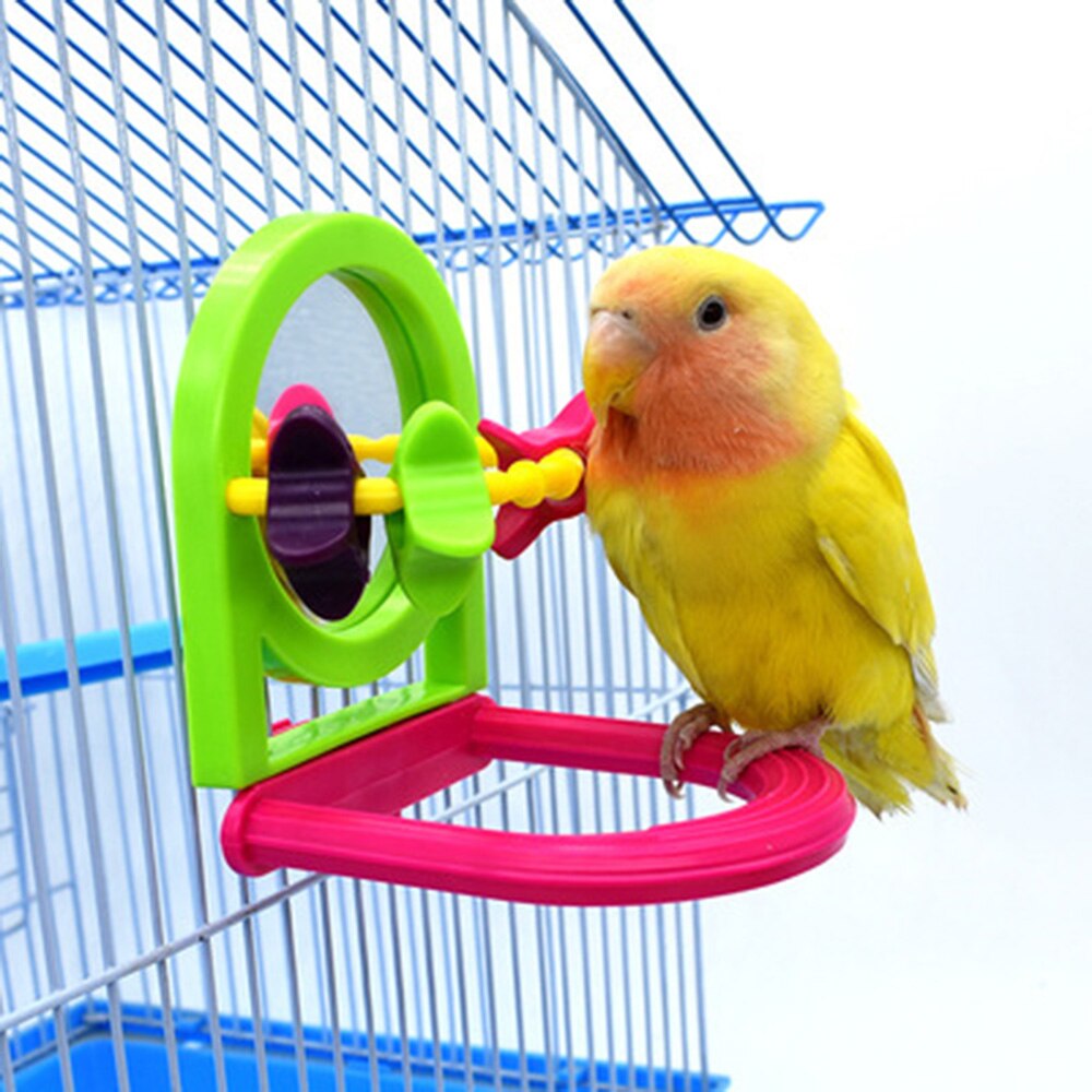 Parrot Bird Toy Supplies Chew Fun Mirror Stand Rod Biting Fun Mirror Stand Pole Small Bird Cage Play Equipment