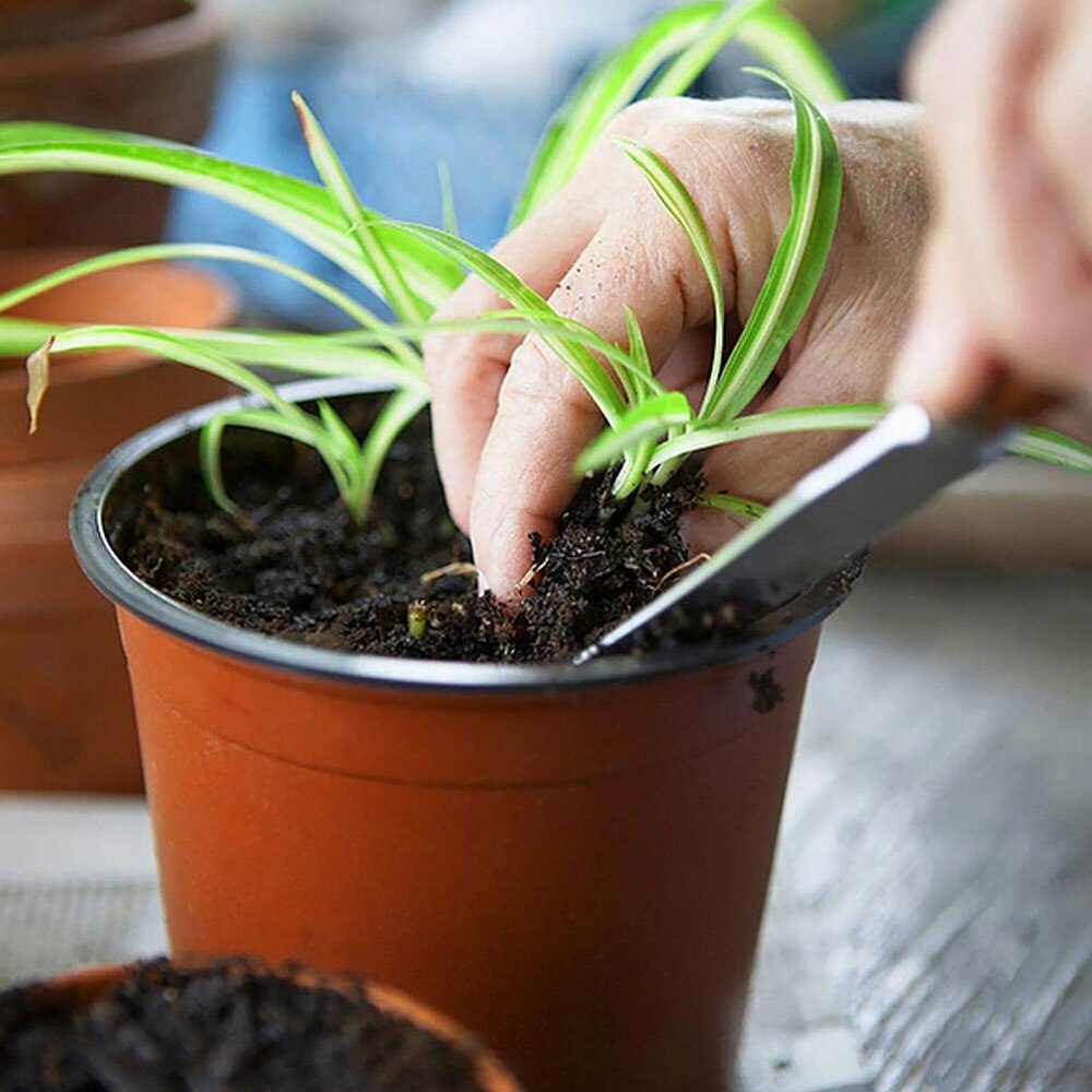 50pcs Plastic Grow Box Simple Thickened Seedling Basin Home Garden Plant Pot Nursery Tray Tools Transplant Flower Plant Pots