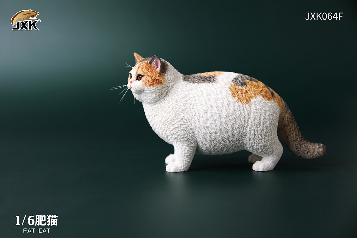 JXK 1:6 Scale Fat Cat Figure Cute Pet Animal Model Collector Kids Toy Desktop Decor Shorthair Cat Trendy Ornaments: JXK064F