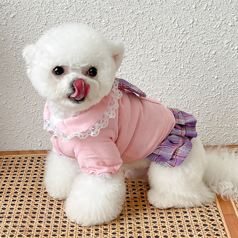 Vestidos de algodón para perros pequeños y gatos, ropa con corbata, tutú, Yorkies, Otoño e Invierno