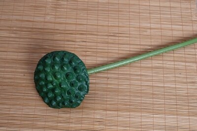 Vintage chinese hanfu fotografie achtergrond foto rekwisieten stilleven ornament nationale trend foto huis rekwisieten: F6 lotuszaadjes 2 stuks