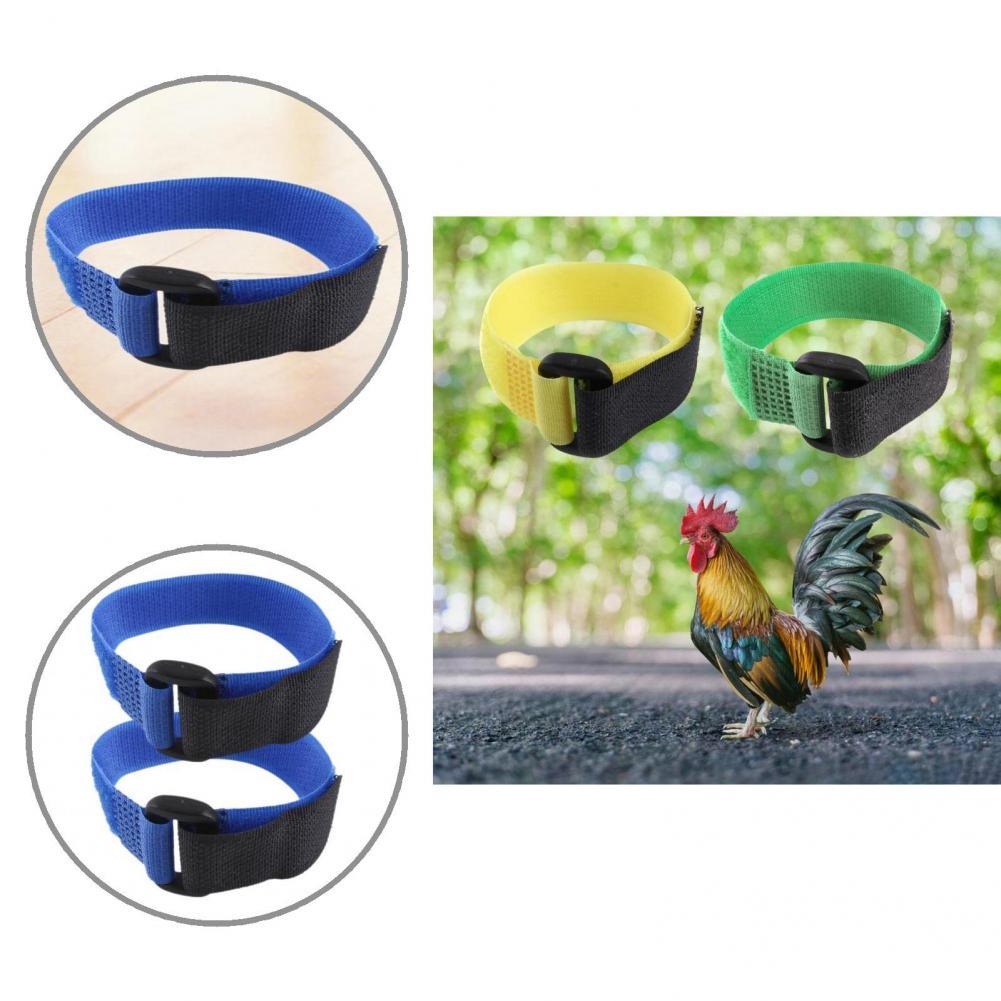 Anti-Cock Kraaiende Vakmanschap Anti-Haak Haan Kraag Pluimvee Supplies