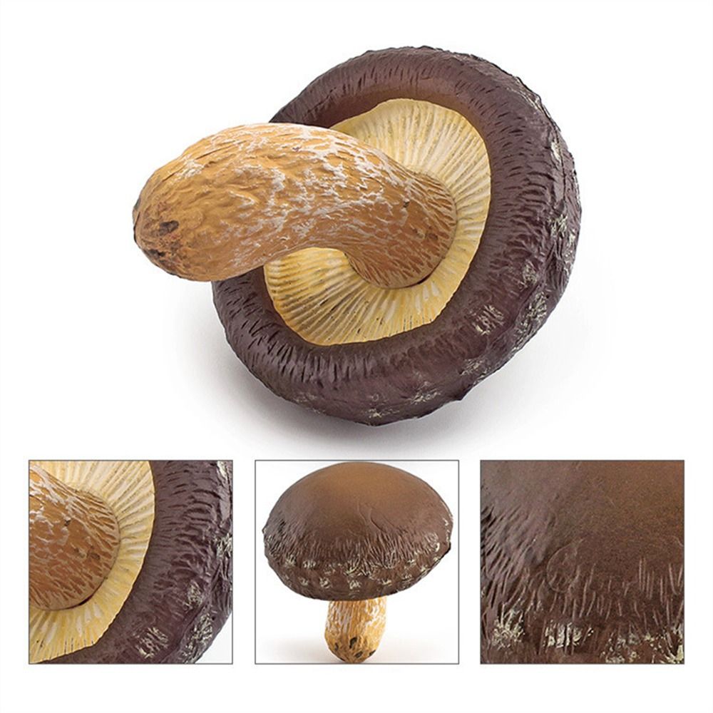 Modelo de vegetales, figuras de hongos, miniaturas de paisaje, Matsutake Oyste, simulación de hongos, planta, modelo de hongos artificiales