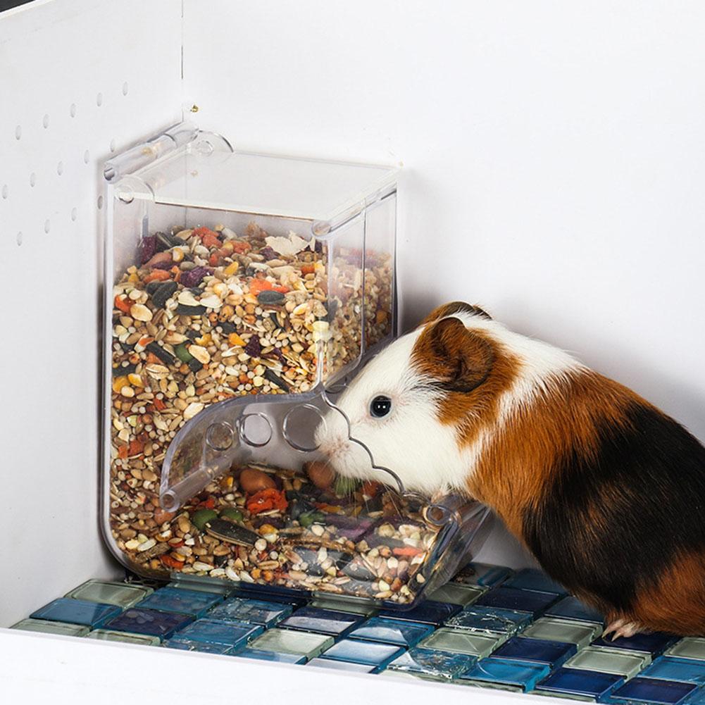 Dispensador de alimento para conejos y hámster, comedero de plástico transparente automático para mascotas, para hámster, conejillos de indias, contenedor de cuencos de comida