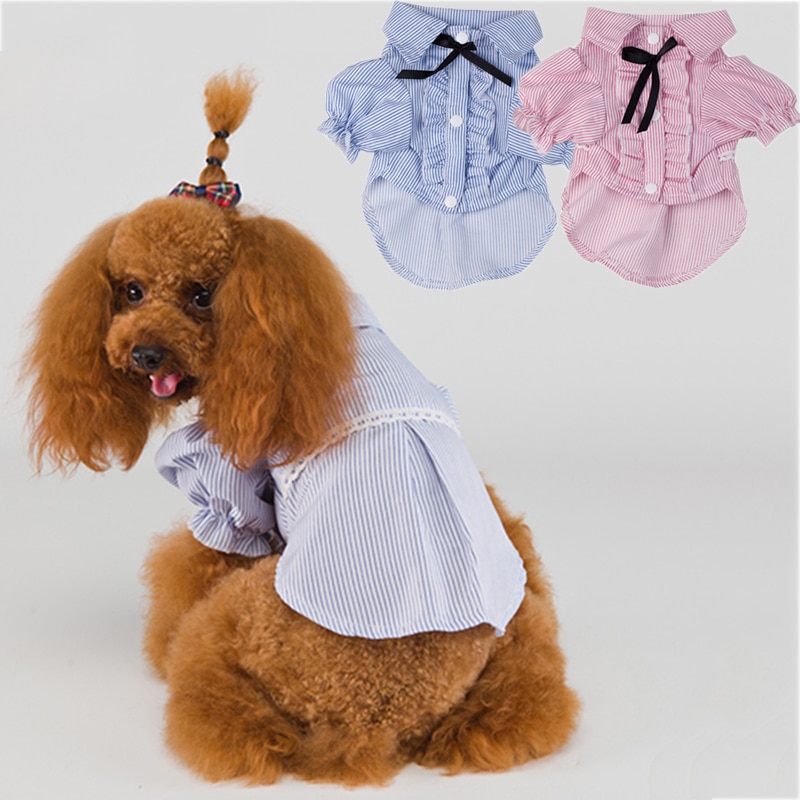 Cats Clothes Clothing Small Dogs T Shirts Colorful Cheap Cute Clothes For Pets Costume Vetement chien xl dog clothes