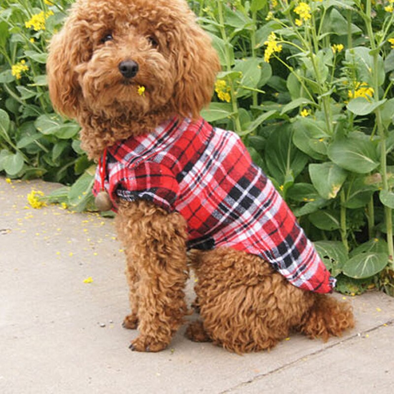 T-shirt à carreaux rayures pour animaux | Chemise pour chien, chiot, coton, manches courtes, grille, petit chien, vêtements printemps chiot Chihuahua, vestes