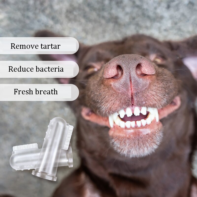 Superzachte hondenvinger tandenborstel voor huisdieren, hondenborstel, gebitsverzorging, tandsteengereedschap, kattenreiniging, huisdierbenodigdheden, hondentandenborstel
