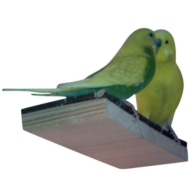 Hamster speelgoed wip rat schommel tuig papegaai houten ladder springplank