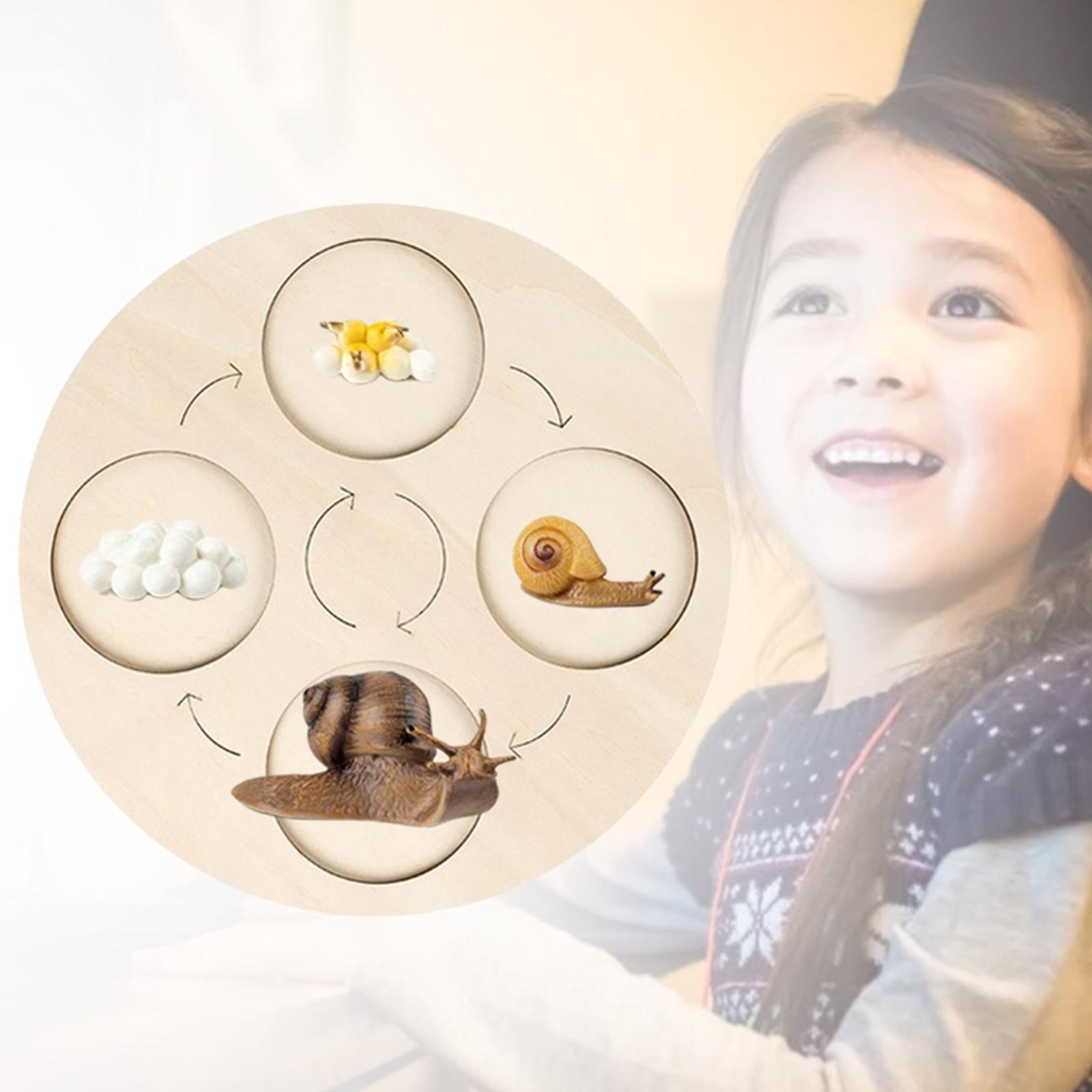 Montessori Life Growth Cycle Board Puzzle do zabawy dla dzieci zwierzęta wczesna edukacja prezenty zabawka na prezenty przedszkole 3 4 5 6 lat dzieci: Snails