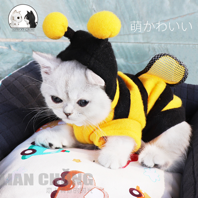 Pet Cat Clothes Funny Soft Bee Costumes Coat Four Seasons Fleece Cat Clothing For Small Cats Kitten Hoodie Puppy Dog Clothes