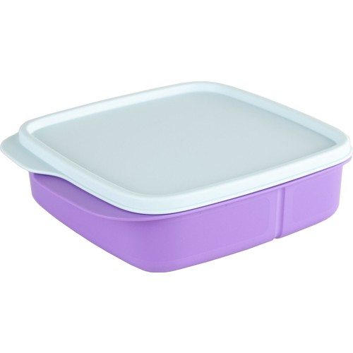 Tupperware – boîte de Nutrition à compartiment, 550 ml