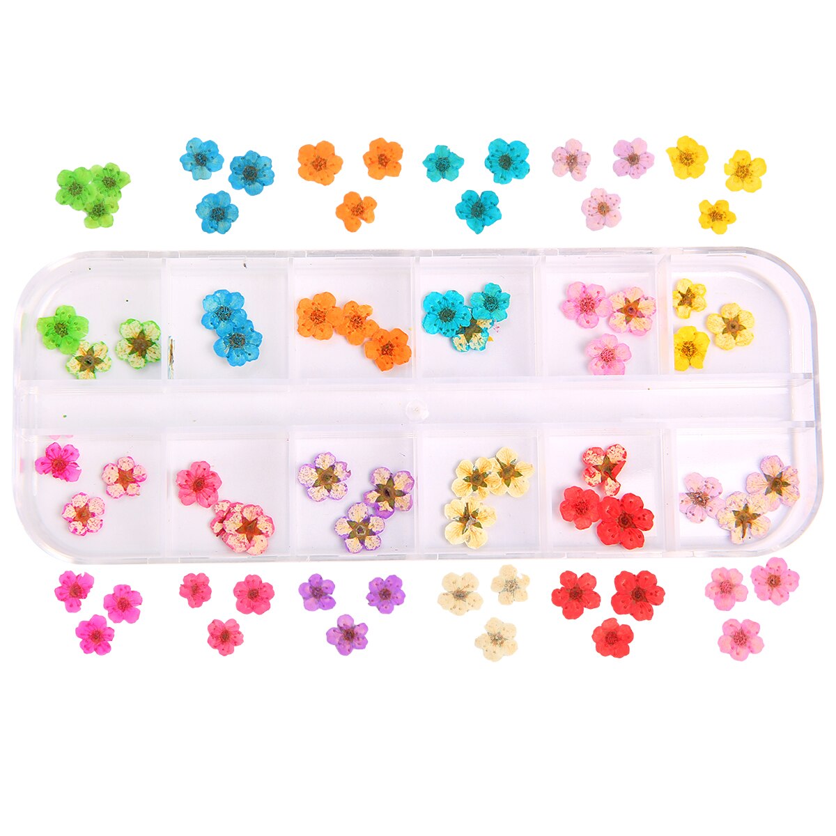 1 Doos Gedroogde Bloemen Droge Planten Voor Hars Mallen Vullingen Epoxy Hars Hanger Ketting Sieraden Maken Craft Diy Nail Art decoratie: Style5