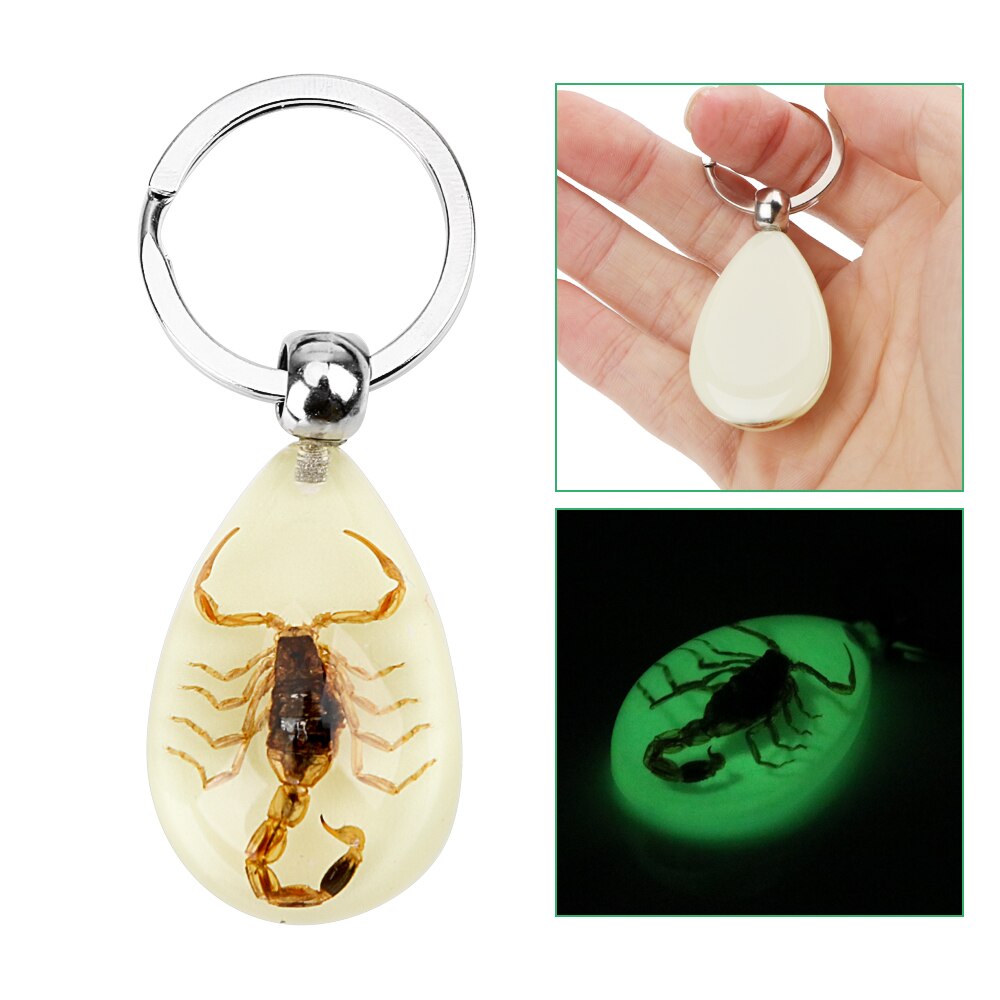LLavero de escorpión , soporte para llaves noctilucente, Cartera de bolso, colgante de escorpión ámbar, accesorios para coche