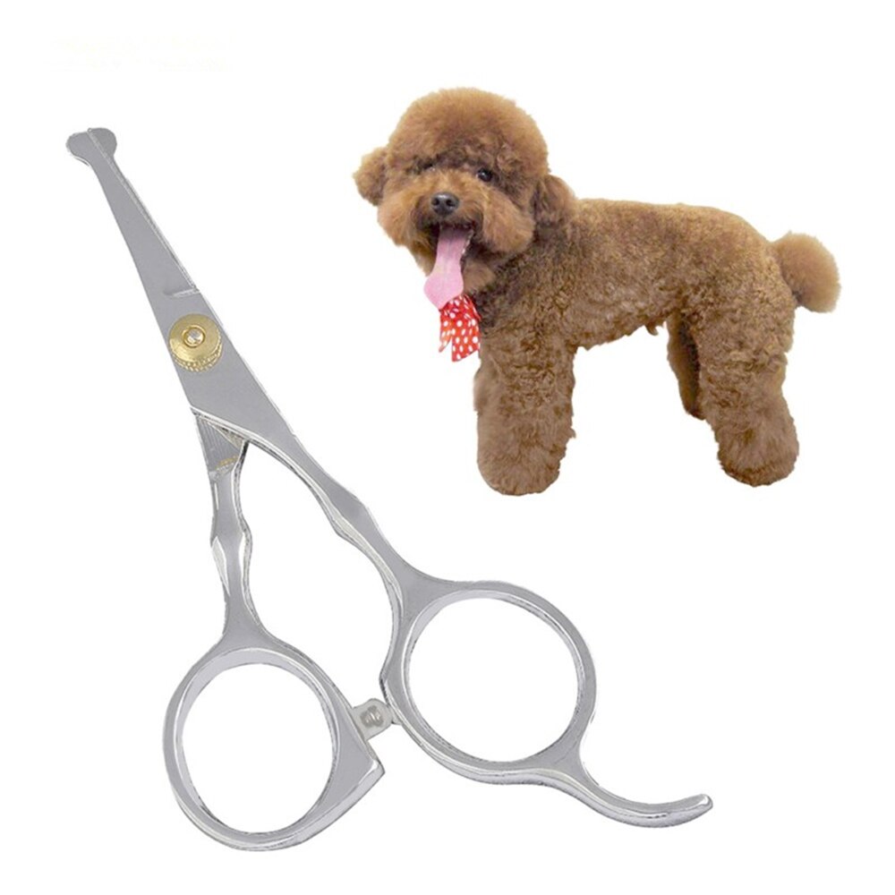 Step-by-step Instructions for Trimming Your Dog's Facial Hair