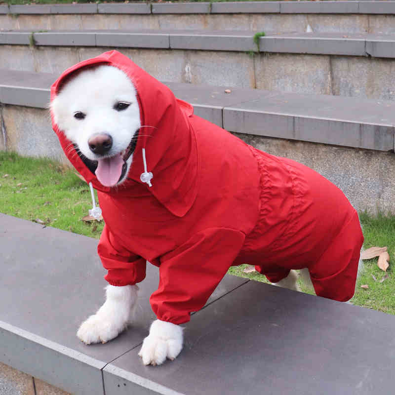 Kultainennoutaja sadetakki iso iso koiran vaatteet vedenpitävät vaatteet haalari husky labrador samojedi koira sadevaatteet puku asu