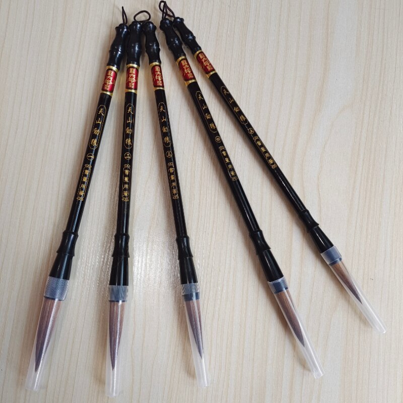 Ensemble de stylos pinceaux de calligraphie chinoise, 5 pièces, brosses à encre, poils de belette traditionnels, fournitures de peinture, boîte de ,