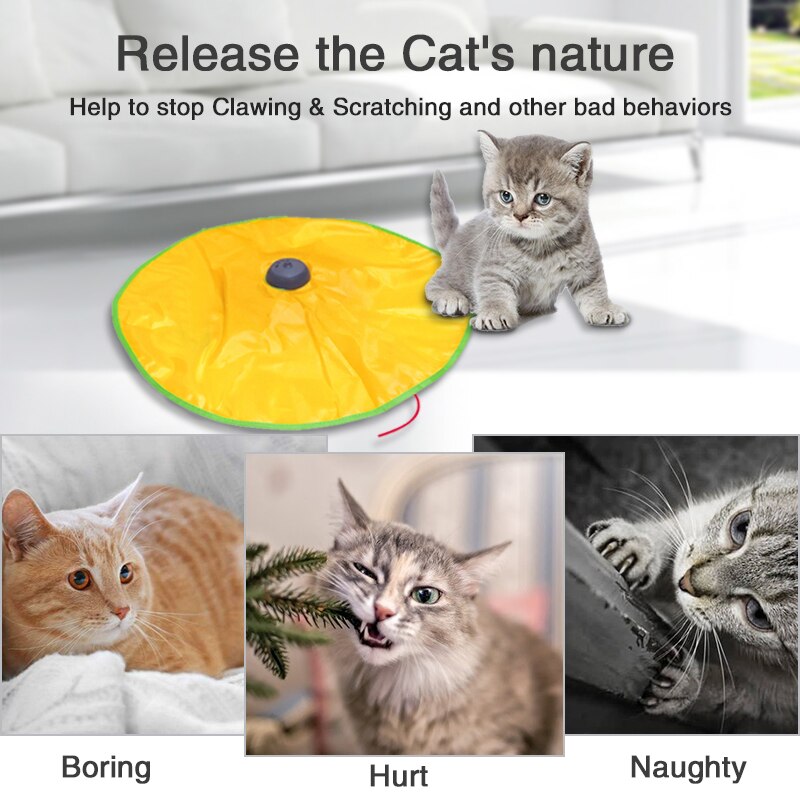Cat Toy Interactive Electric Gym toys Cat Play Plate Undercover Fabric Moving Mouse Cats Meow Play For Kitty Funny As Seen On TV