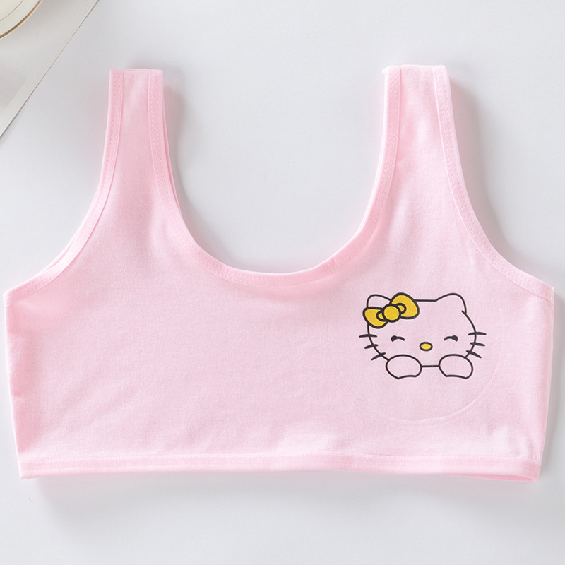 Girls Underwear Development Period Vest 12-16 Years Old Junior High School Students Bras Kids Underwear for Girls: Pink