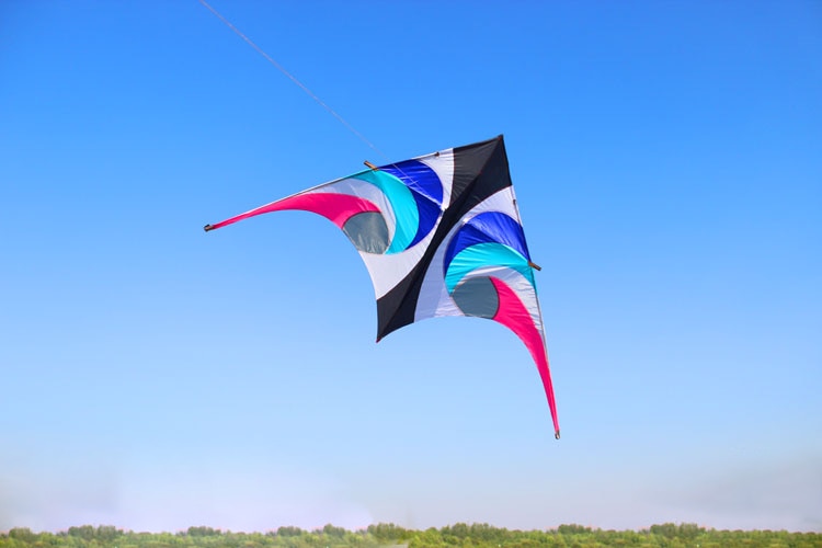 Fargerik 2.8m kite delta trekant flying kite for audlts utendørs morsomme leker