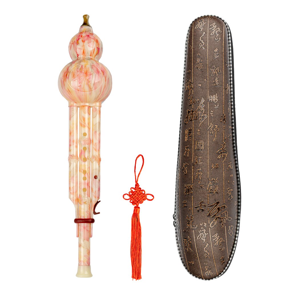 noemi professionale cinese fatto a mano in bambù nero Hulusi flauto doppio tono C chiave zucca Flauta strumento musicale etnico con custodia: pesca blossom