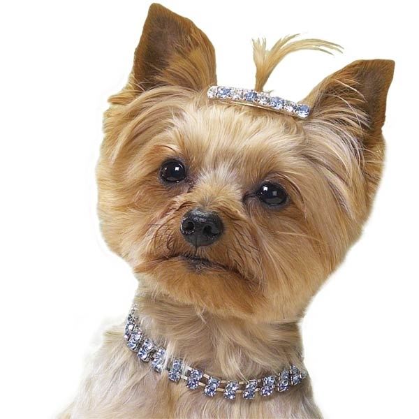 Mini Kat Hond Crystal Rhinestone Chocker Halsbanden Fancy Chihuahua Hond Ketting