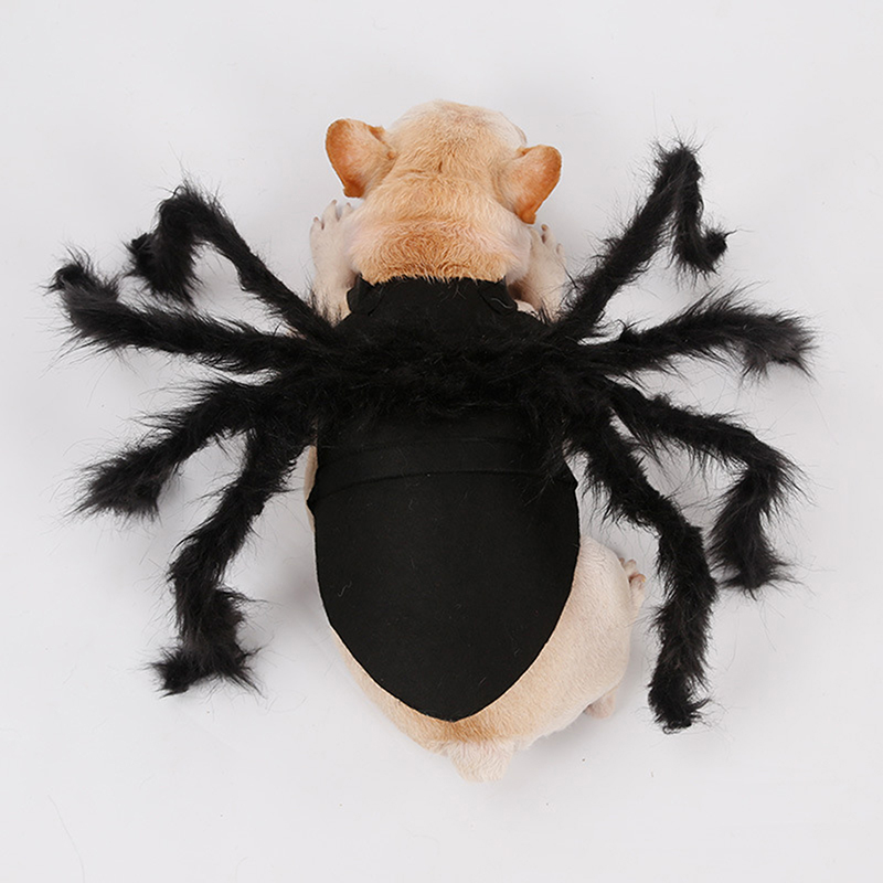 Costume d&#39;araignée pour chien et chat, vêtements pour animaux de compagnie, déguisement d&#39;halloween, fête de noël, accessoires pour animaux de compagnie, 2022