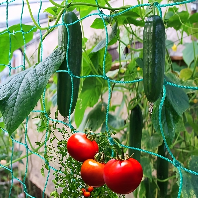 Pérgolas enrejadas para plantas, Red de cultivo de poliéster resistente, malla cuadrada para plantas trepadoras, 1 unidad