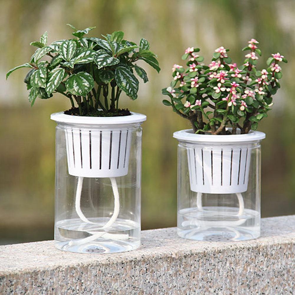 Clear Automatic Water Absorption Self Watering Hydroponic Flower Pot Planter Home Office Decorative