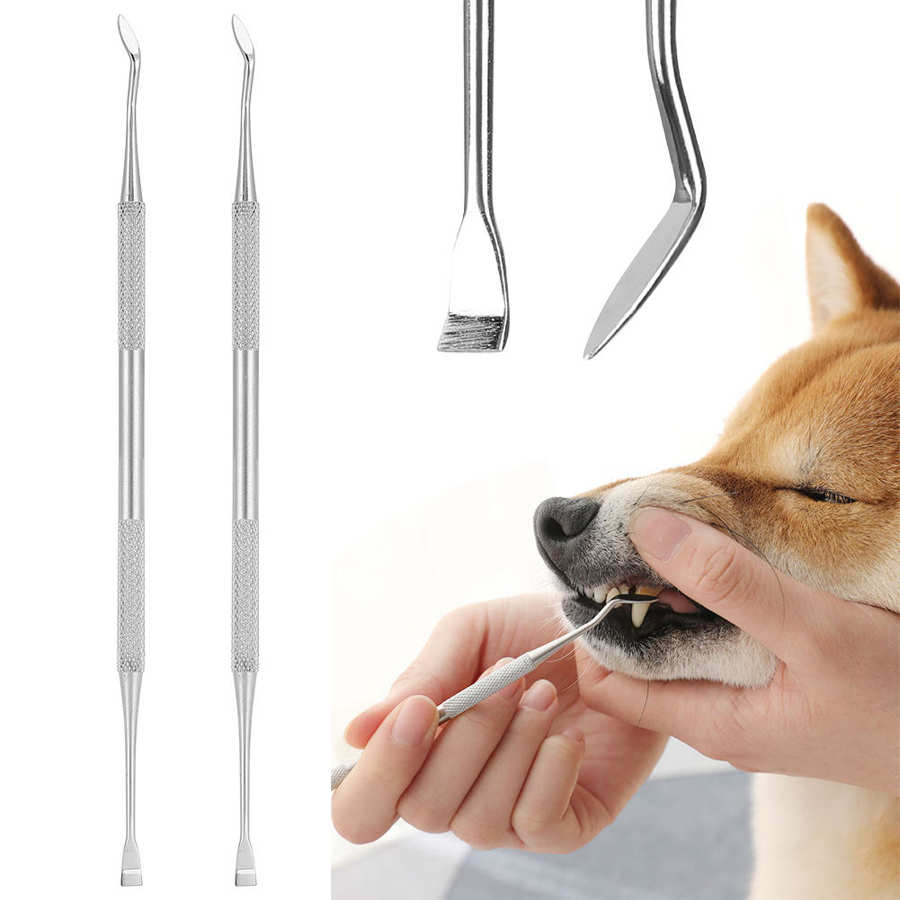 Hond Fysiologische Broek 2Pcs Pet Rvs Gebitsreiniging Whitening Schraper Dental Gereedschap Voor Hond Kat Luier Sanitaire