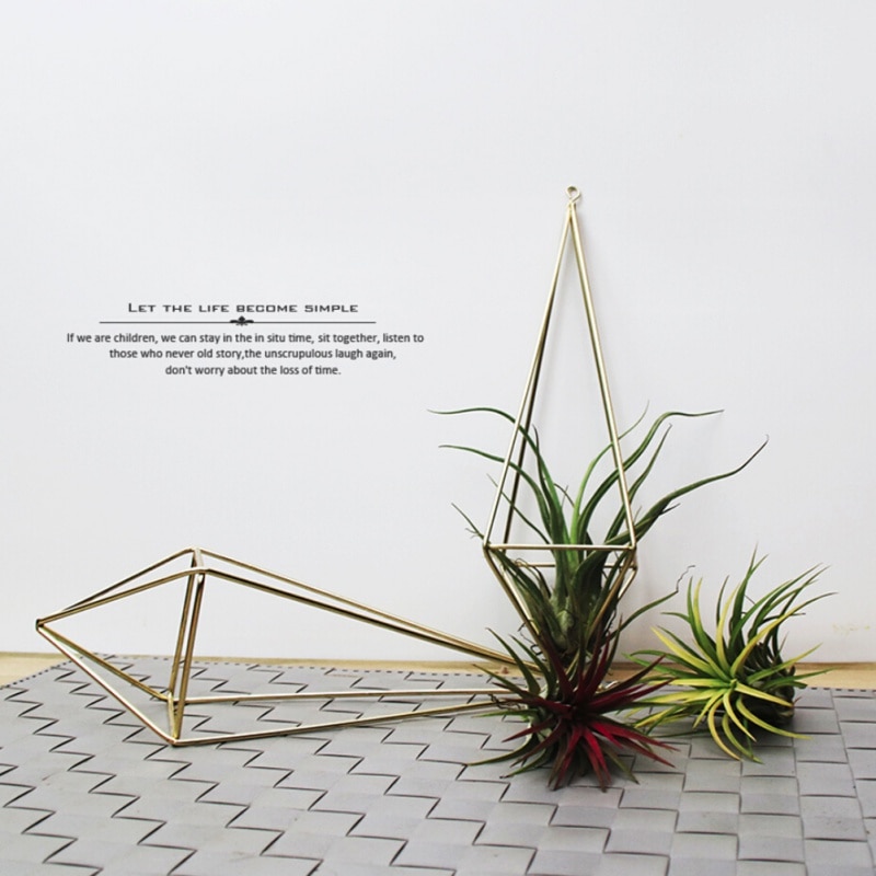 Air Plant Hanger Opknoping Air Plant Holder Geometrische Planter Metalen Air Plant Rack Tillandsia Hanger Modern Huis Tuin Opknoping Decor Zwart