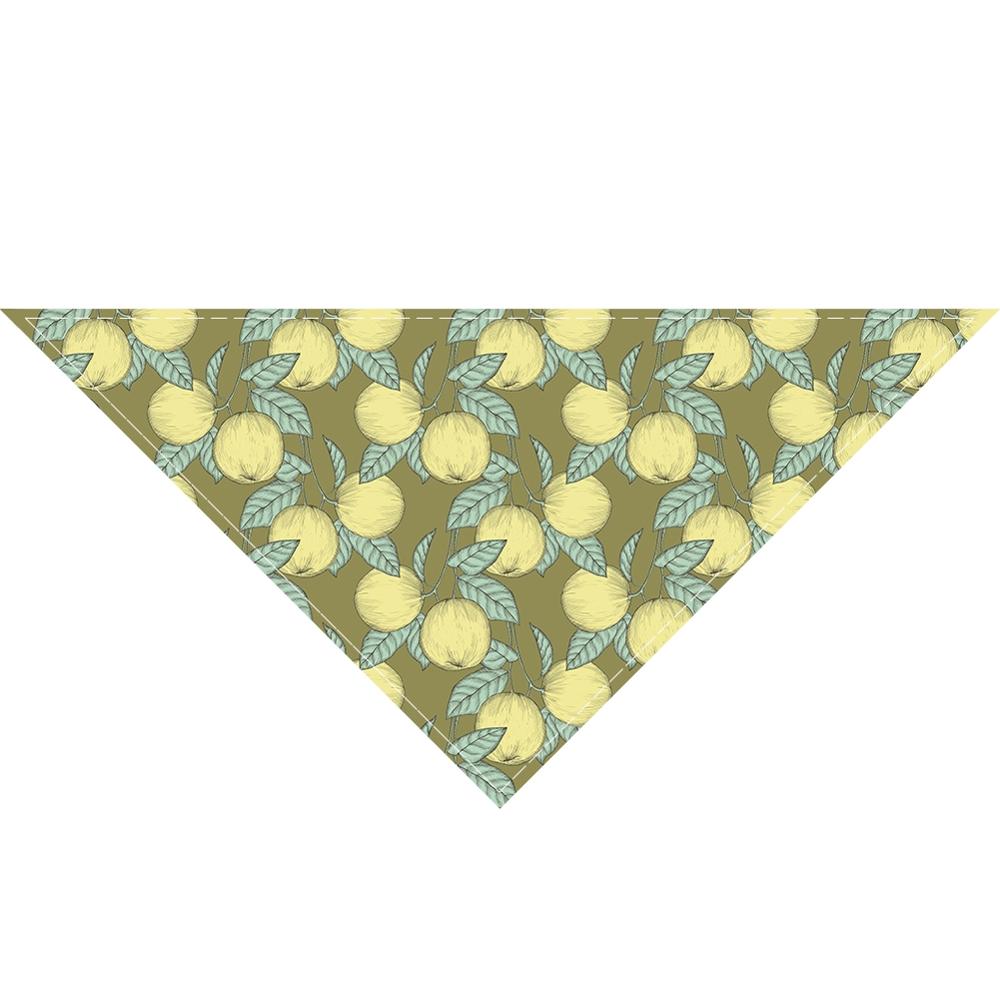 Zomer Pet Kat Hond Bandana Kraag Verstelbare Halsdoek Driehoek Sjaal Tropische Fruit Patroon Speeksel Handdoek Dierbenodigdheden: Style 2 / S