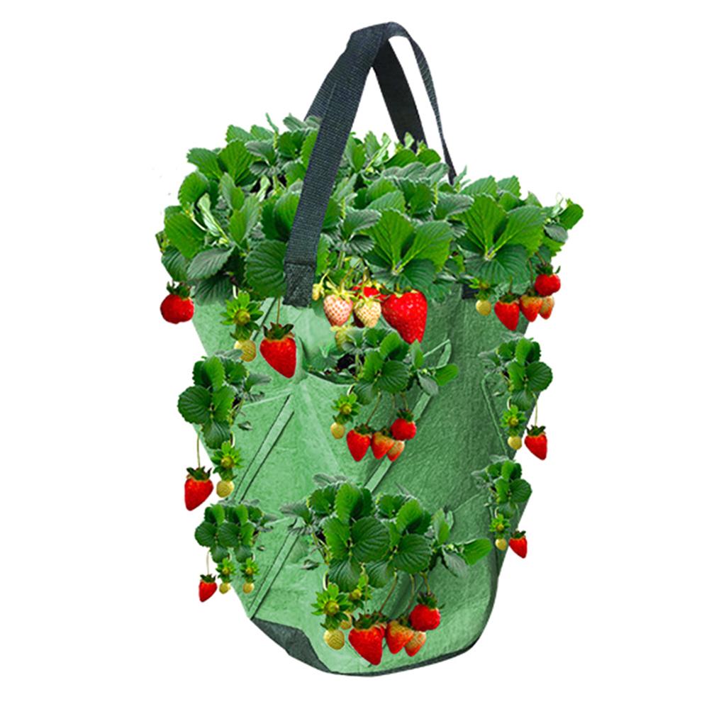 Garden Strawberry Grow Bag 3 Gallon PE Water-resistant Nursing Pots With Hanging Strawberry Planting Grow Bag Garden Supplies 35