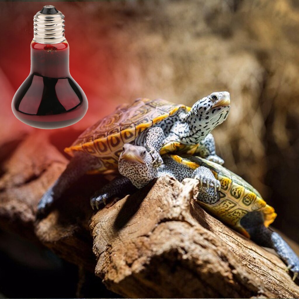 Reptiel Nachtlampje Amfibie Terrarium Verwarming Lamp Emitter 40W-100W E27