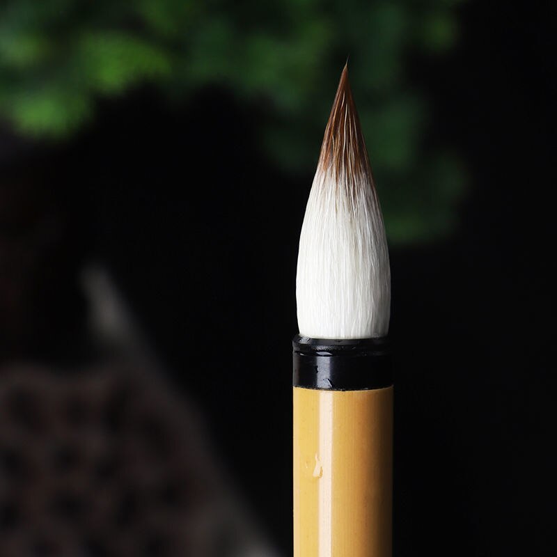 Regular Script Calligraphy Brush Set Multiple Hair Professional Writing Brush Pen Chinese Calligraphy Copy Scriptures Brush Pen