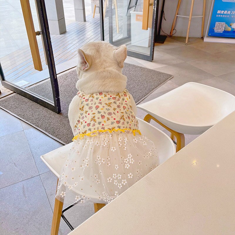 Ropa para mascotas, vestido para perro gordo, falda de tul para perro Bulldog francés, vestidos para perros medianos y grandes, ropa para mascotas, vestido para mascotas Pug