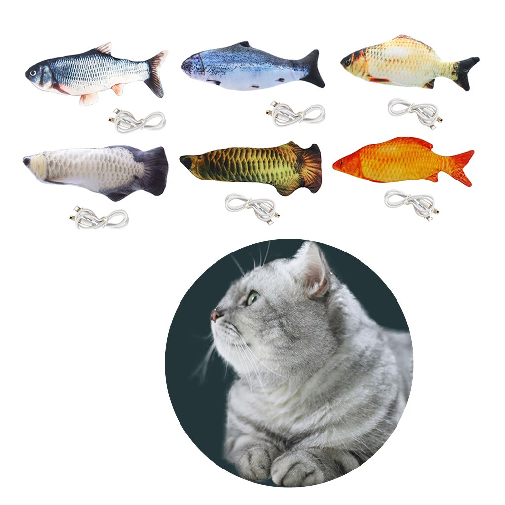 Juguete eléctrico para gato, pez que baila, modelo realista de Animal del océano, carga USB, juguete divertido para ejercicio de gato