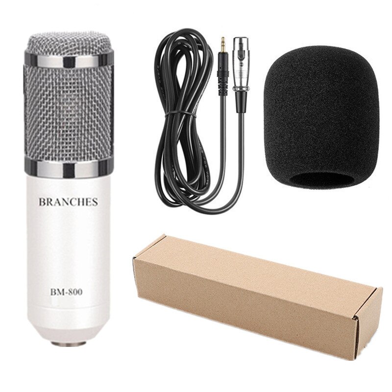 microfone bm 800 Studio Microphone microfone bm800 Condenser Sound Recording Microphone For computer: PACKAGE 2 wnite