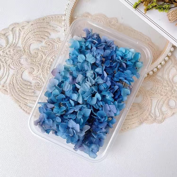 Décalcomanies de fleurs séchées 3D pour Nail Art, autocollants floraux naturels, conceptions de fleurs sèches pour N64.Crafts, accessoires de manucure bricolage: Ice Blue