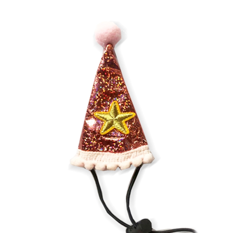 Baardagaam Verjaardag Hoed Leash En Harnas Van Baby Tot Juveniele Verstelbare Lederen Hagedis Walking Leash Sml 3 pack Y5GB: 01